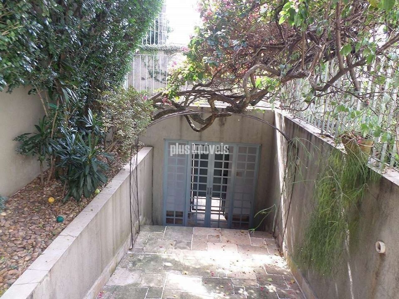 Foto 13