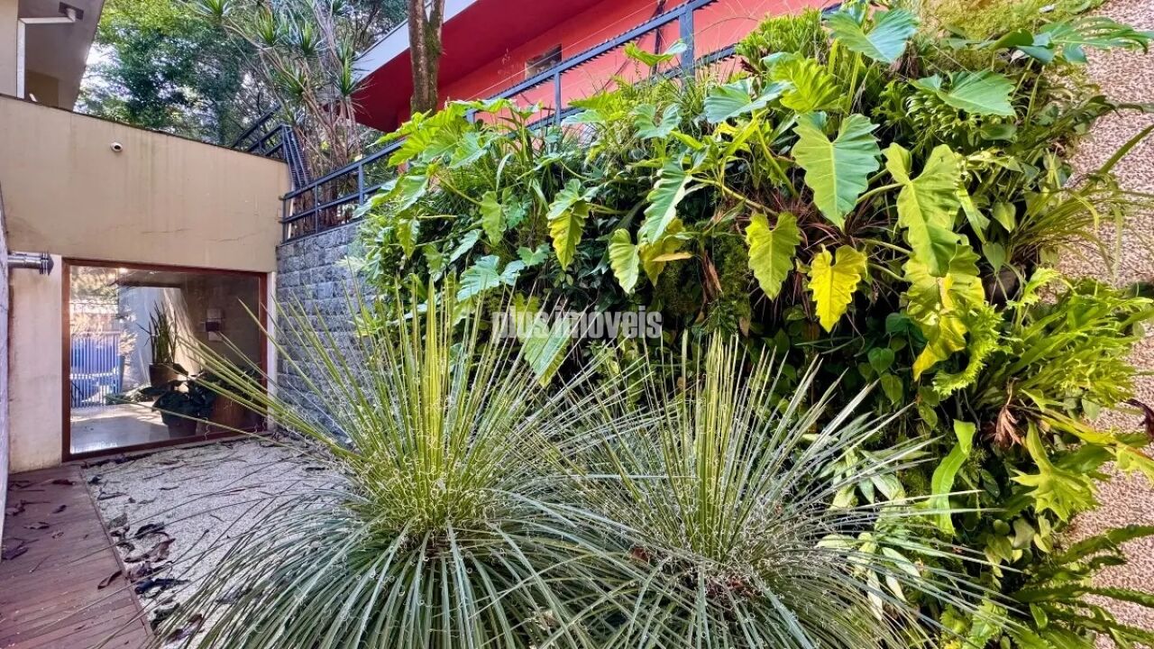 Foto 31