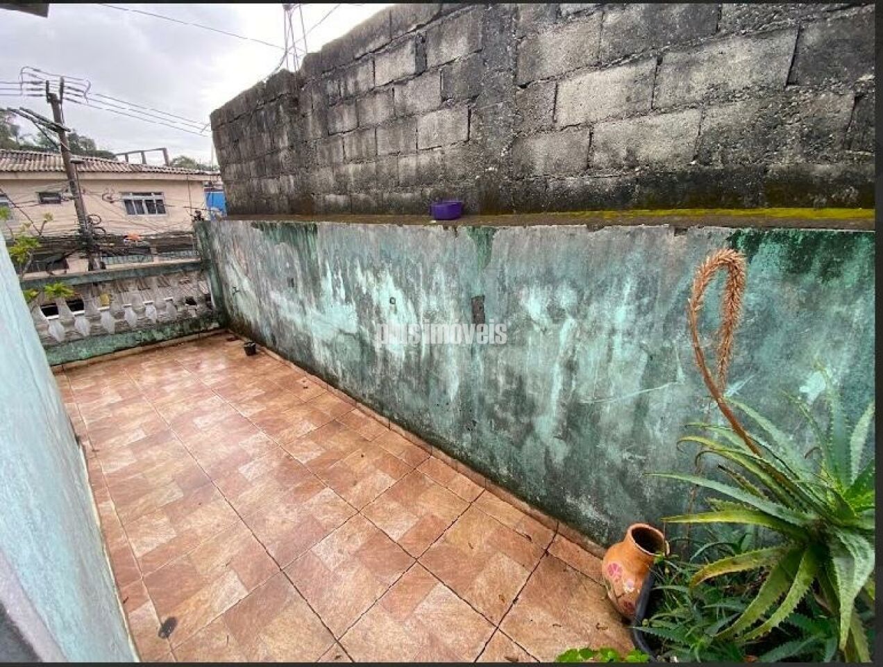 Foto 12