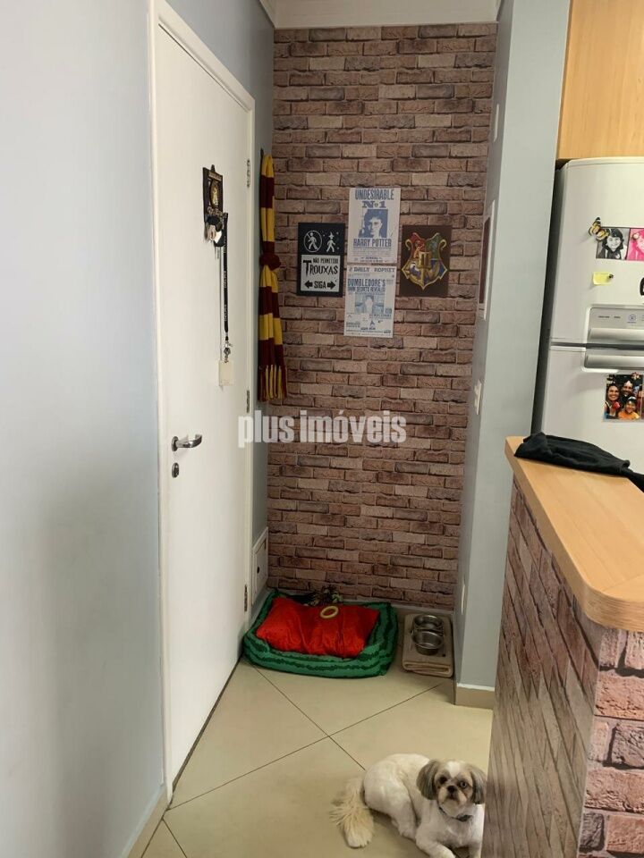 Foto 17