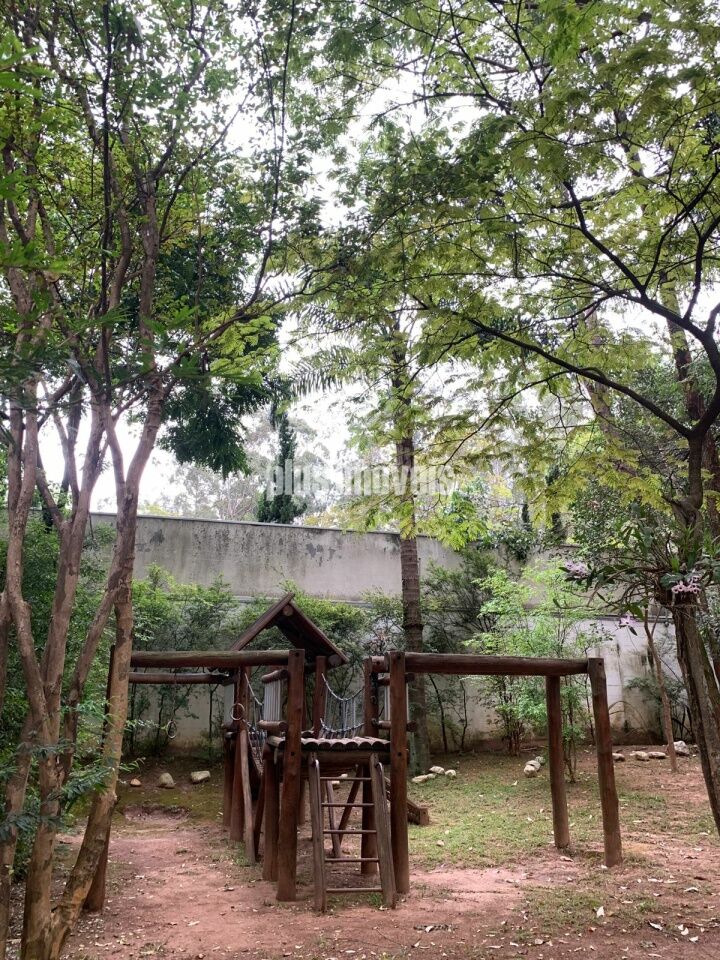 Foto 37