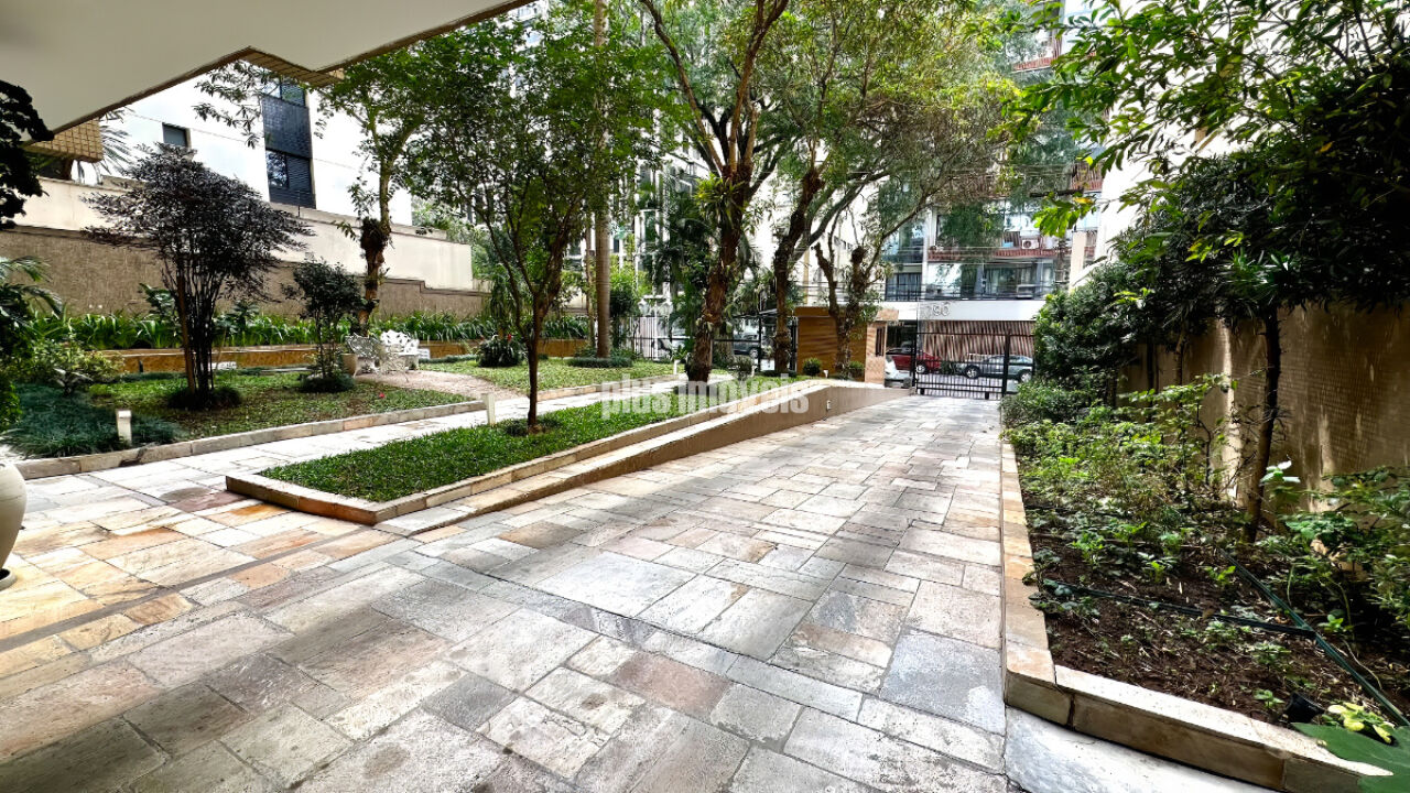 Foto 41