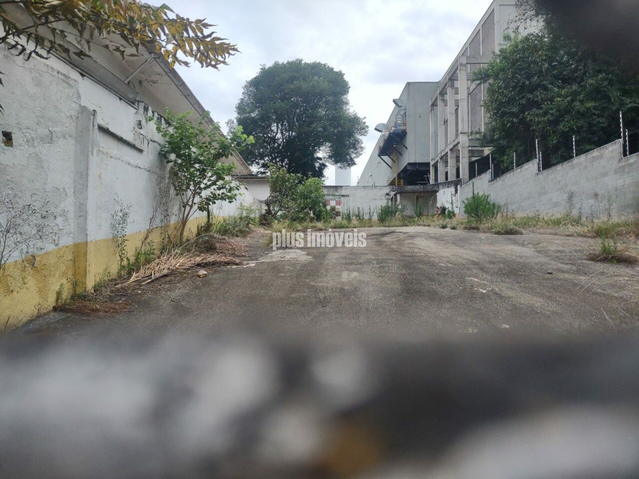 Foto 7