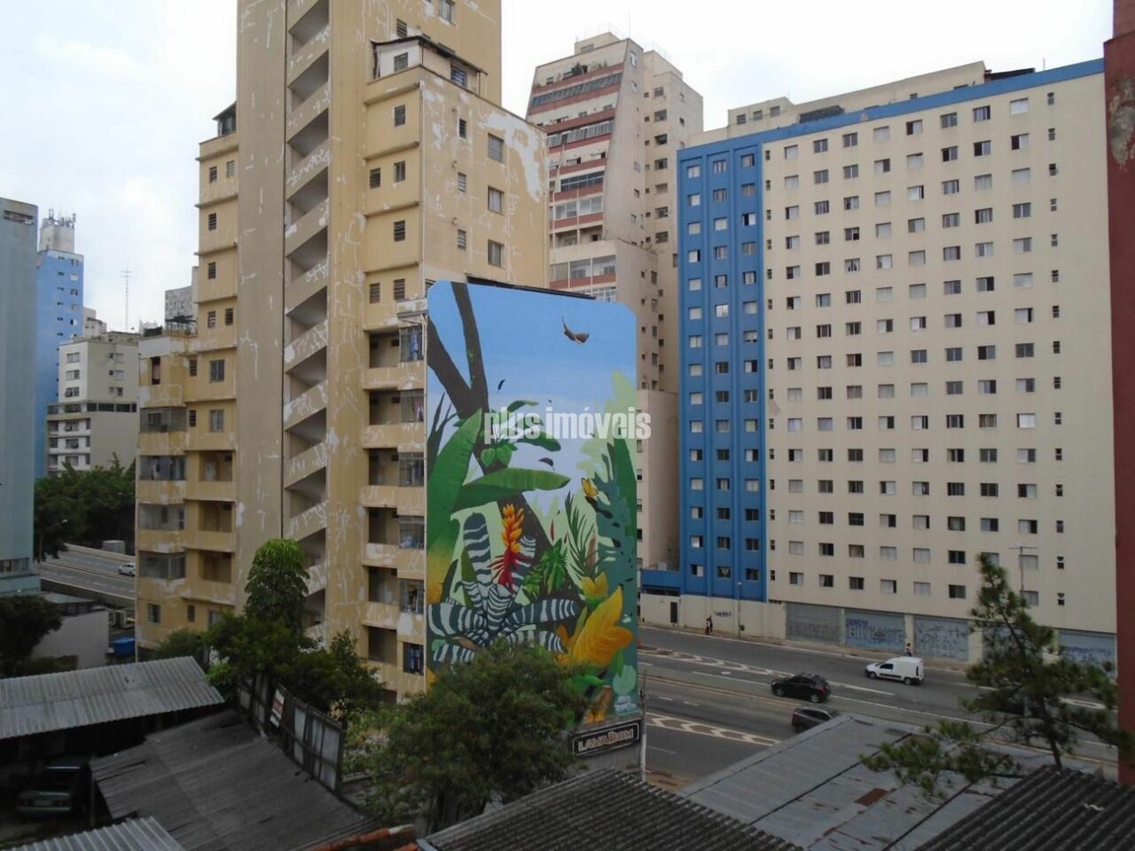 Foto 11