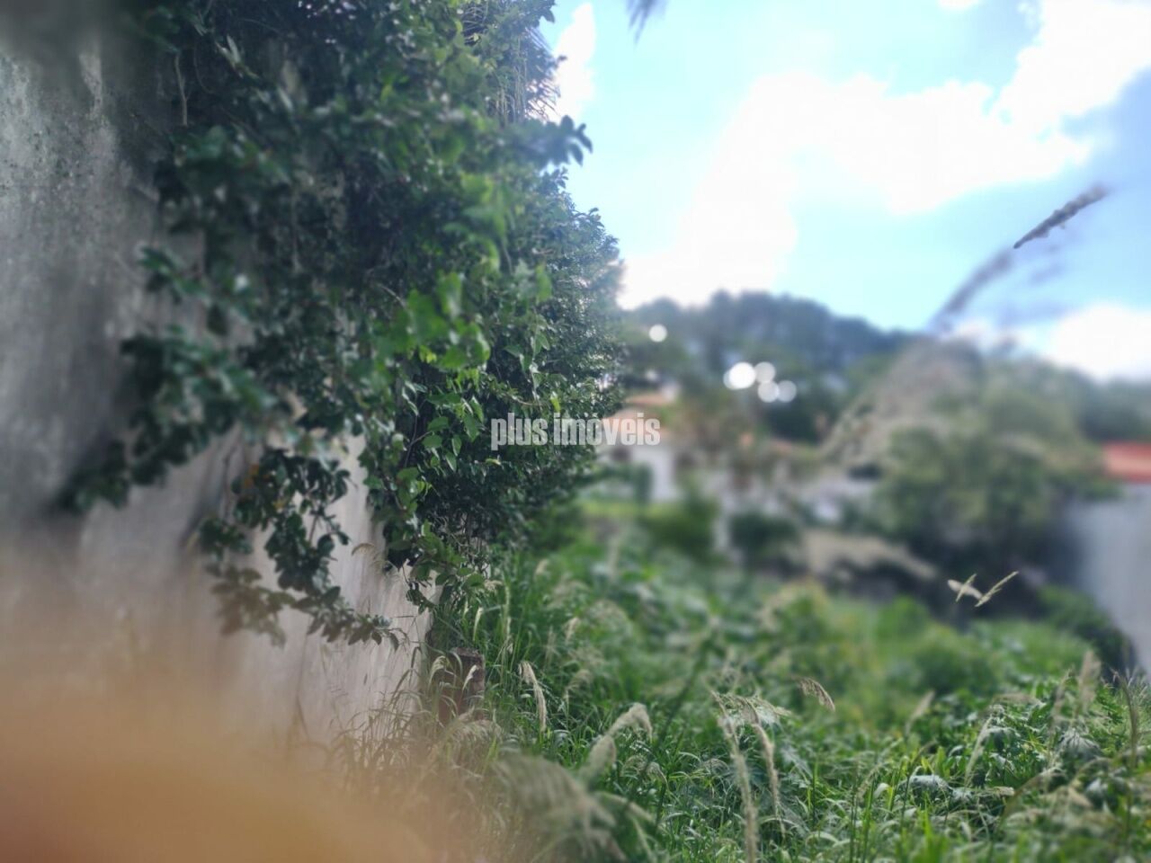Terreno, 368 m² - Foto 3