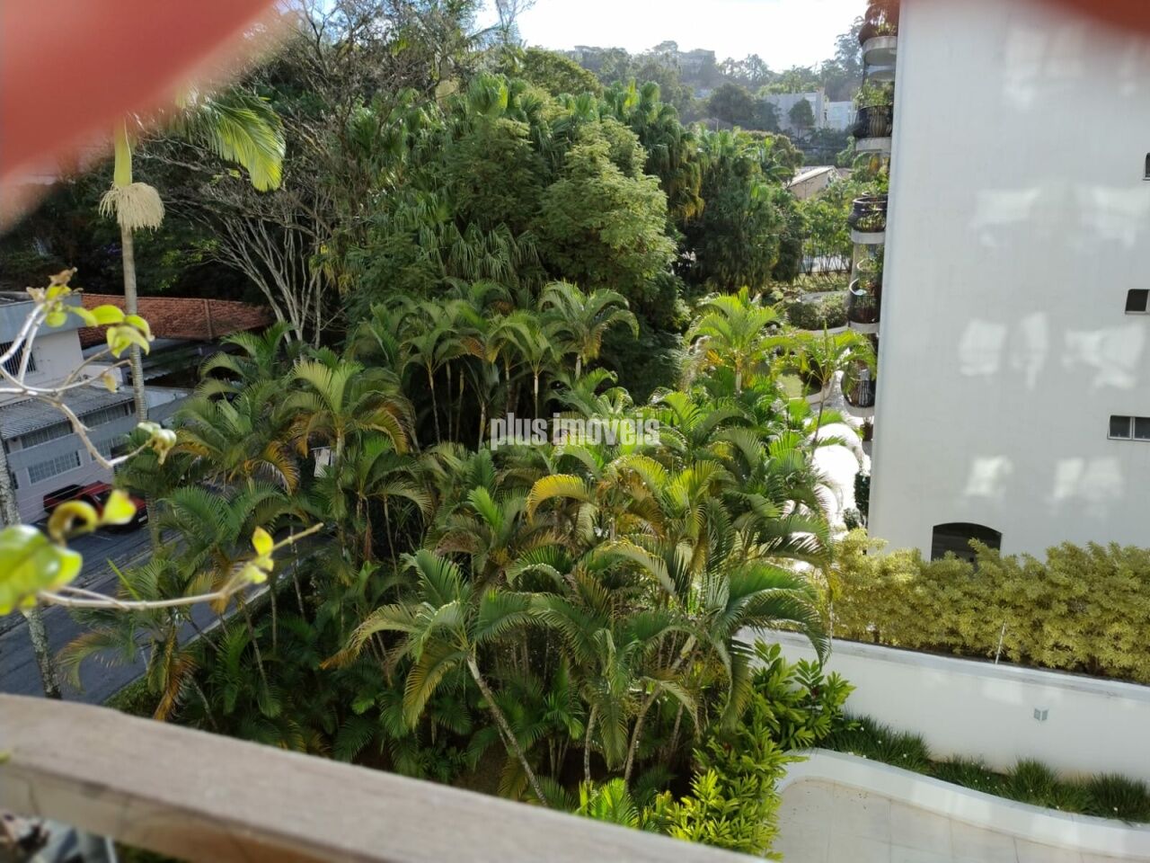 Foto 16