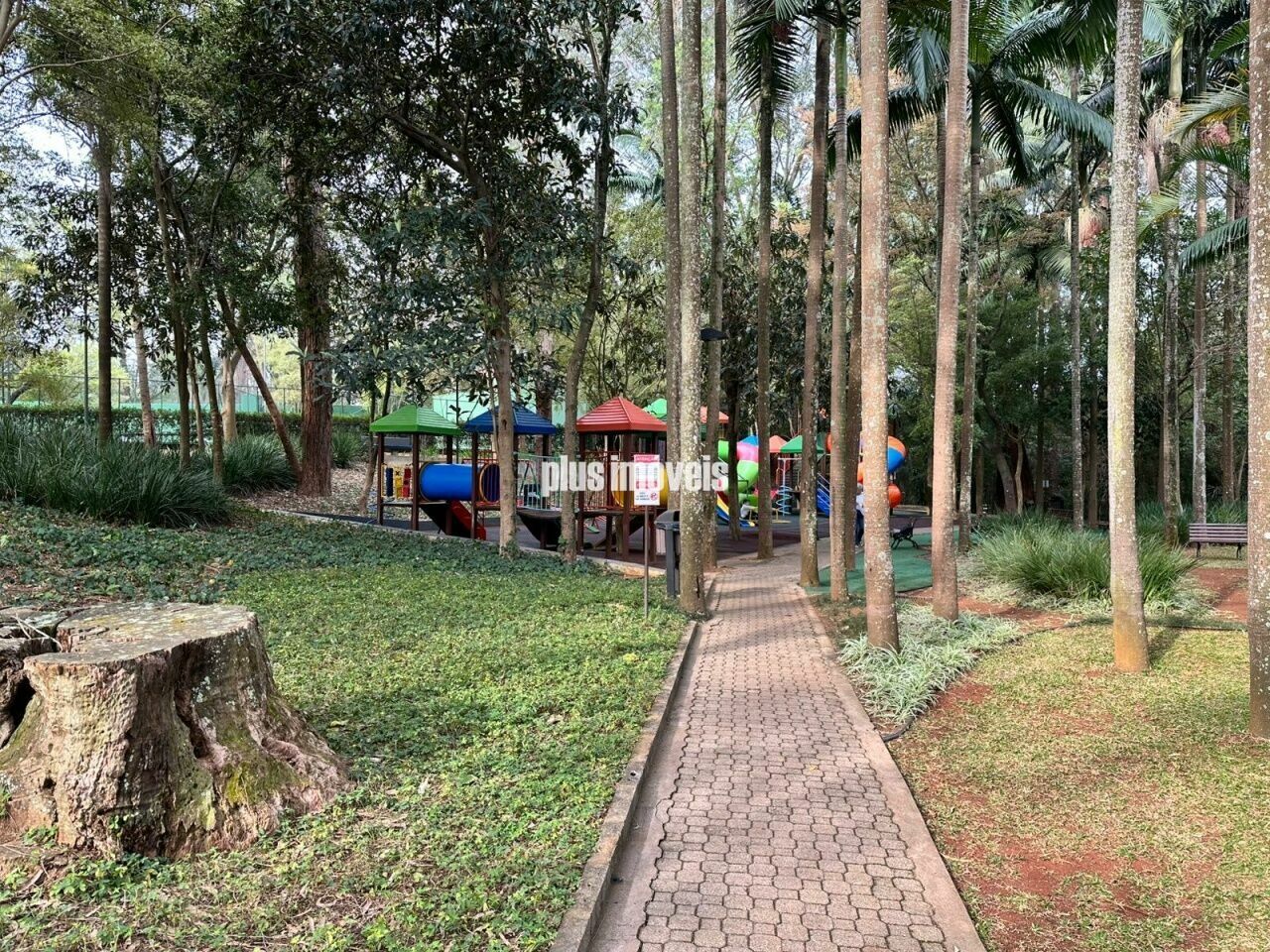 Foto 48