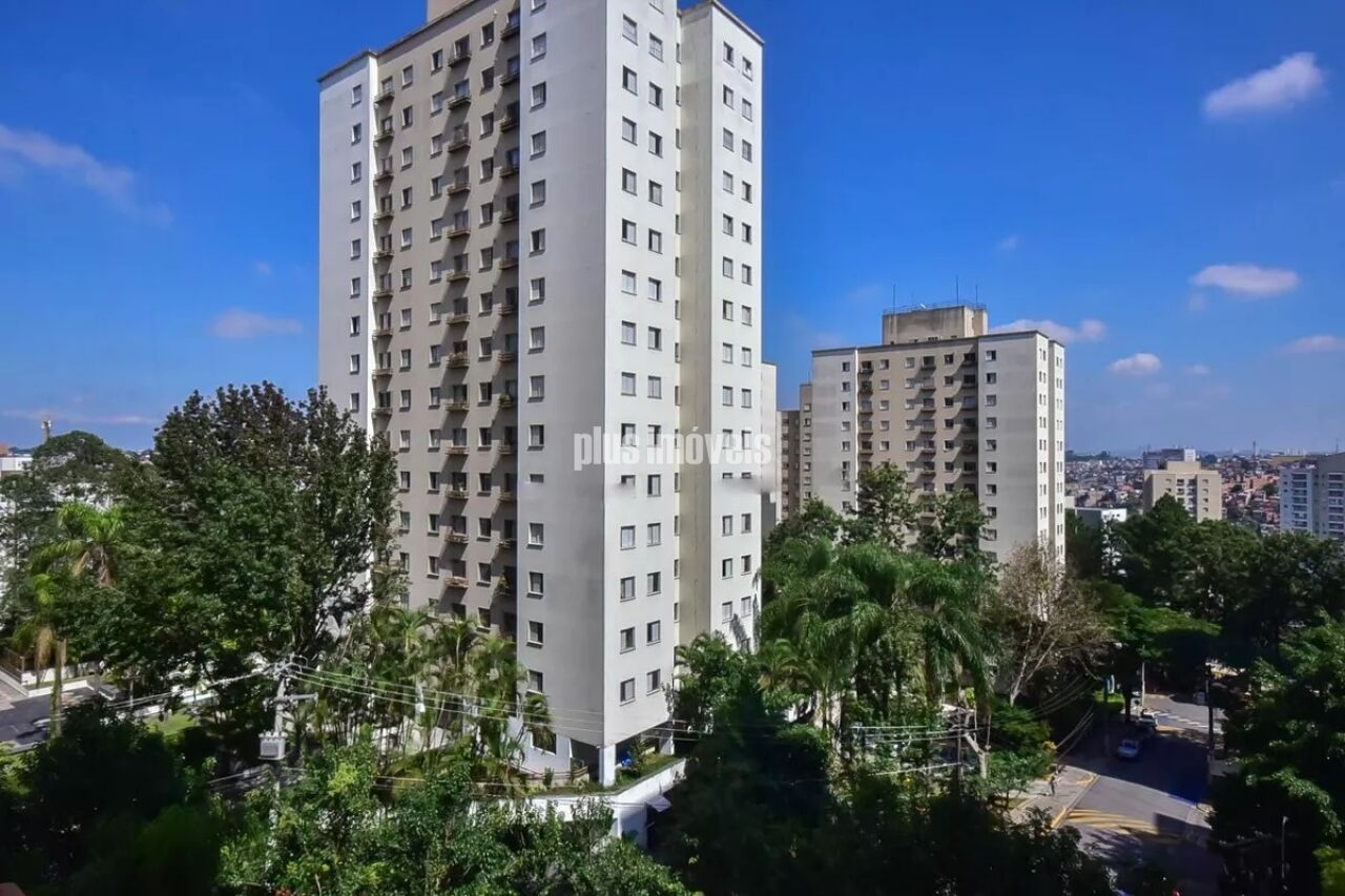 Foto 21