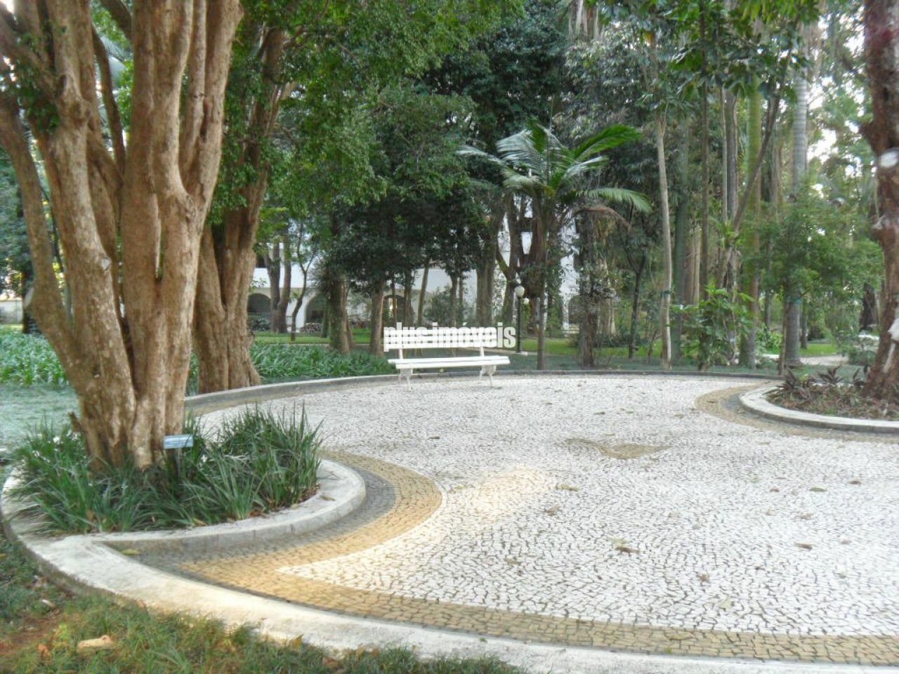 Foto 31