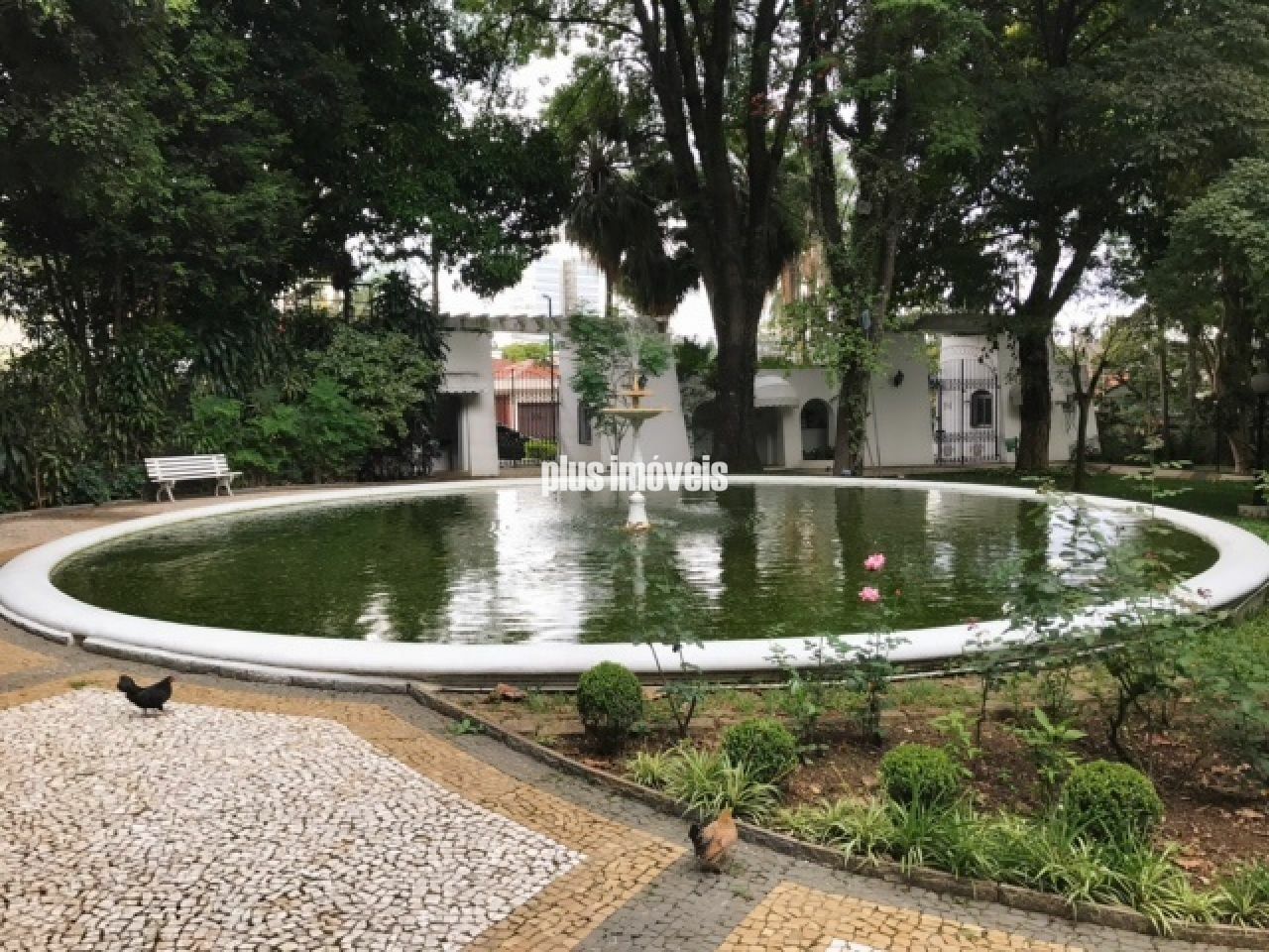 Foto 35
