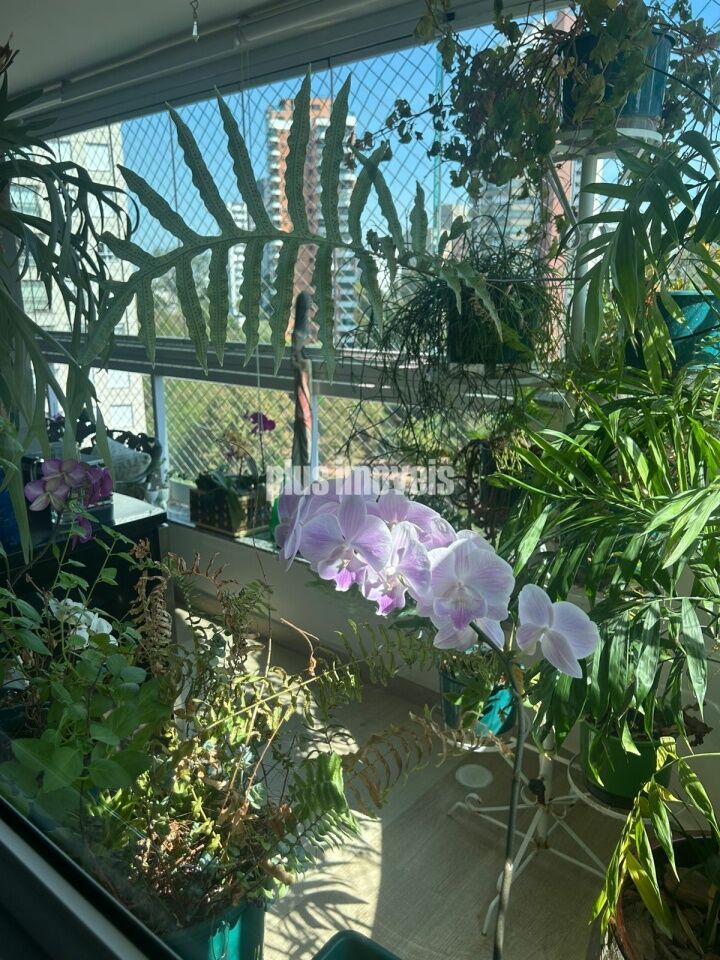Foto 29