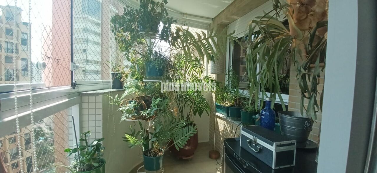 Foto 30