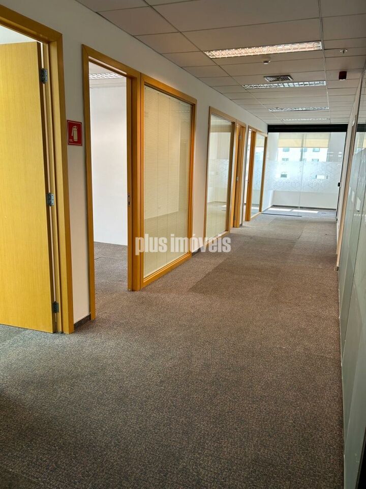 Sala-Conjunto, 503 m² - Foto 3