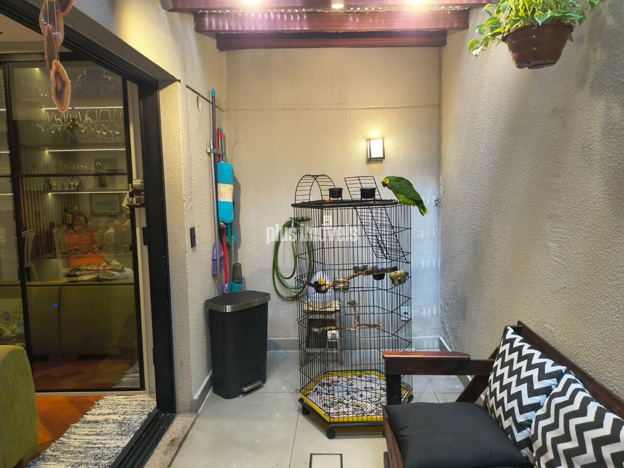 Foto 7