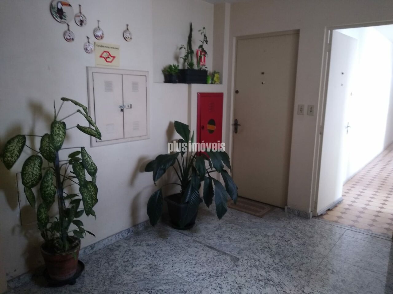 Foto 3