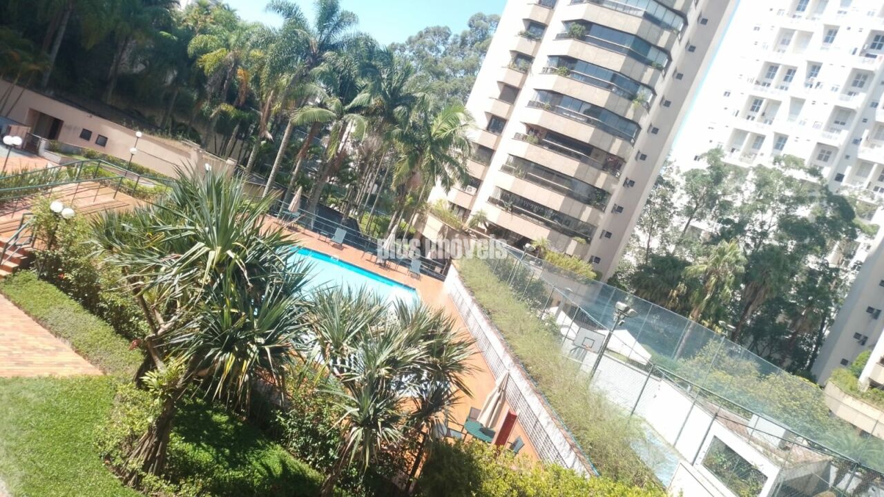 Foto 42