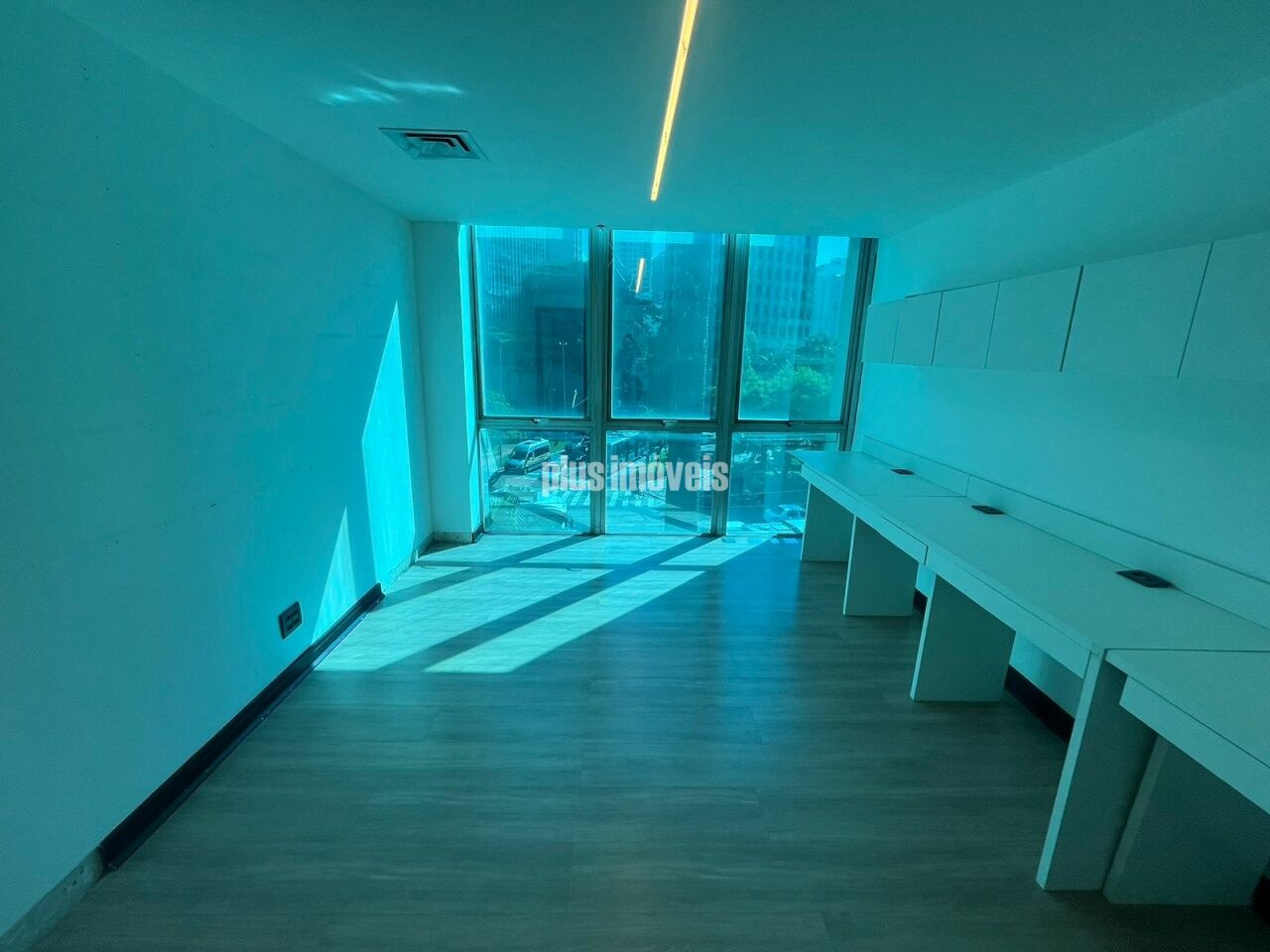 Foto 15