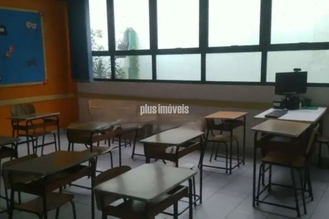 Foto 19