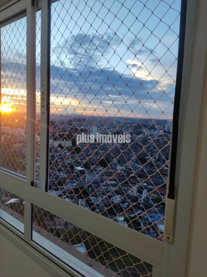 Foto 19