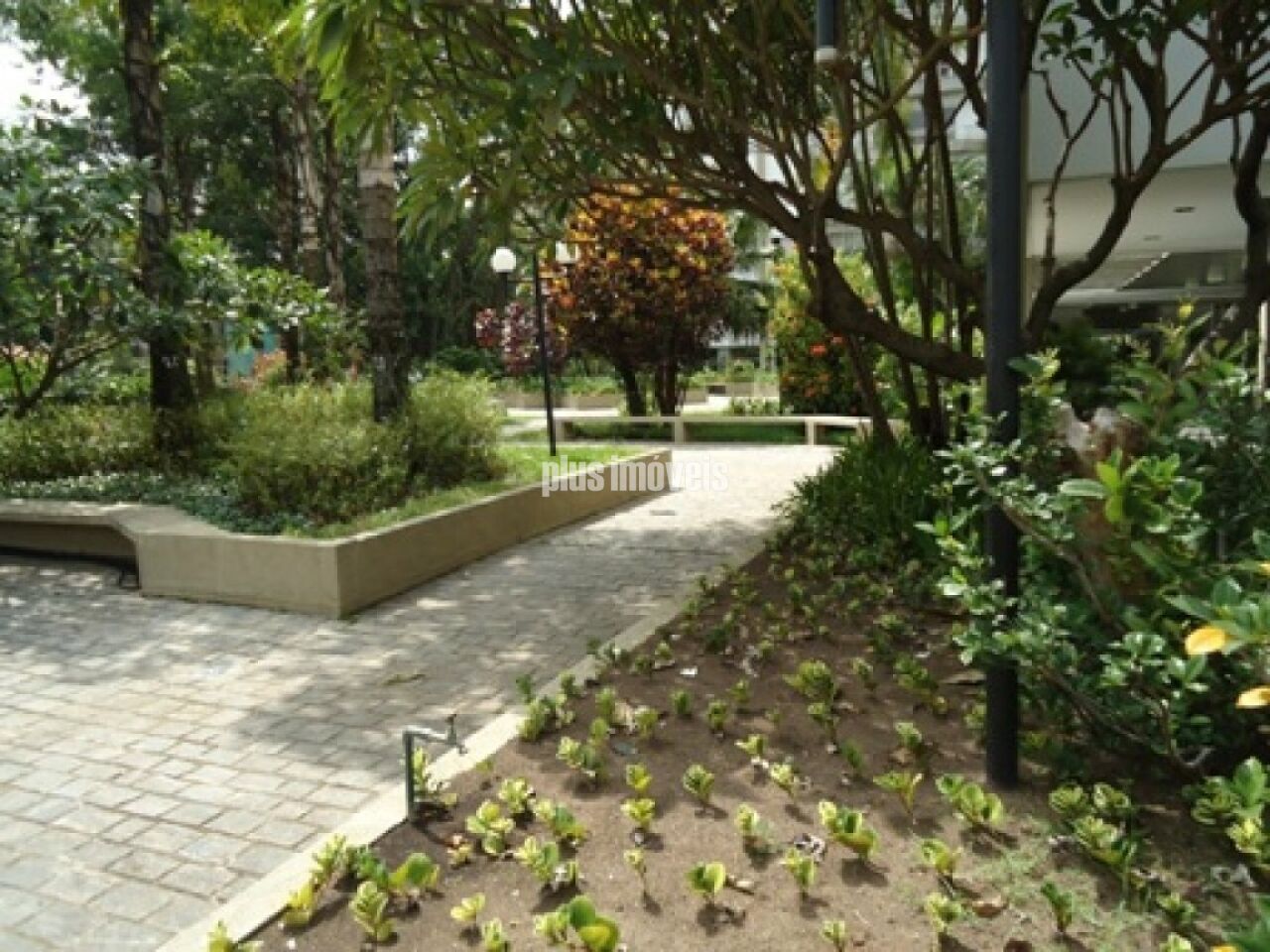 Foto 37