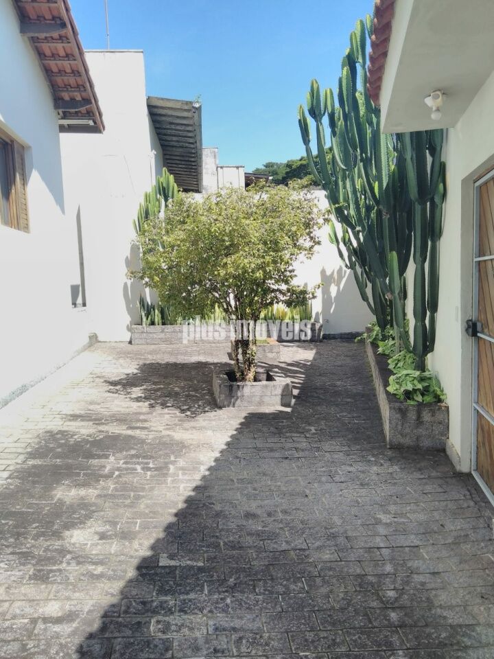 Foto 20