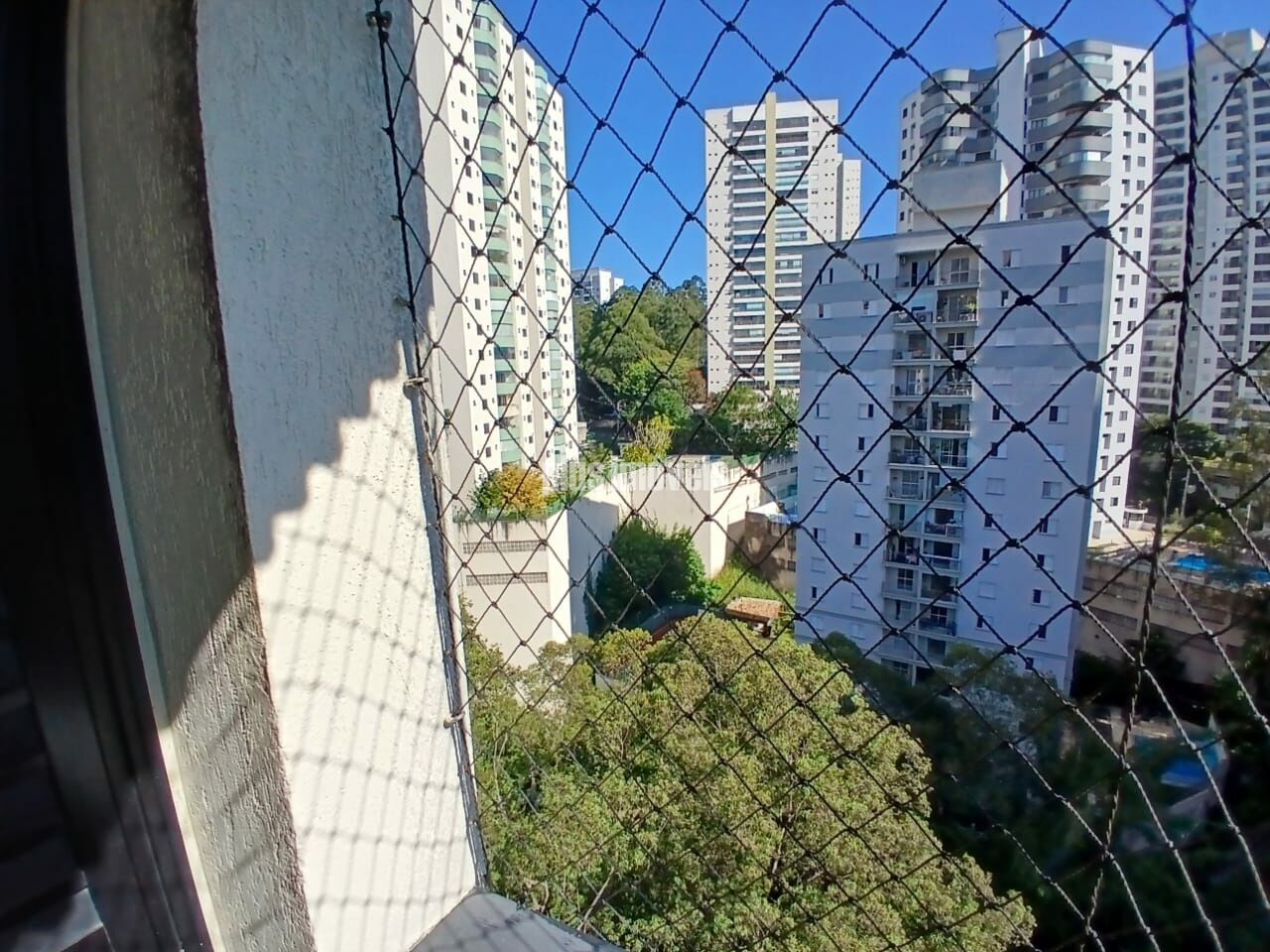 Foto 31