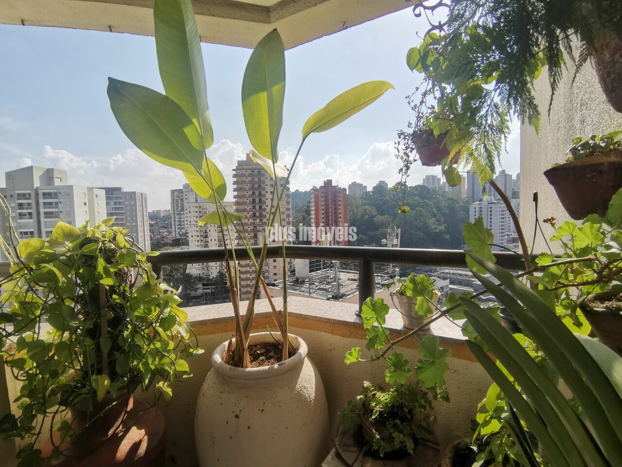 Foto 23