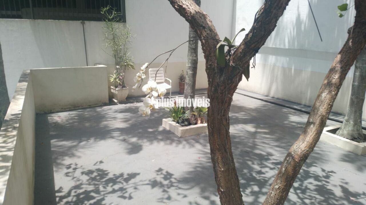 Foto 23