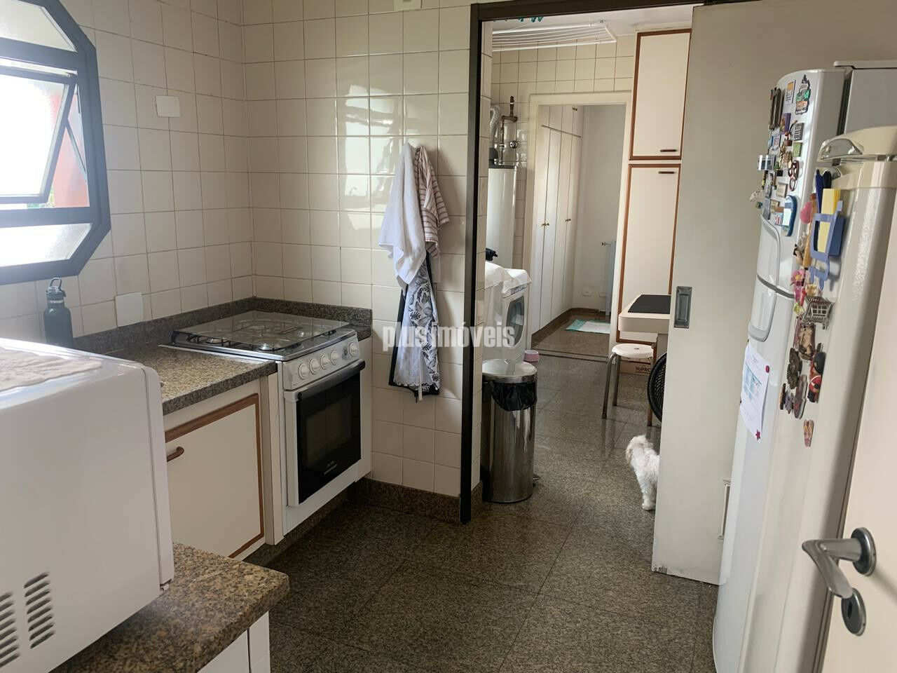 Foto 4