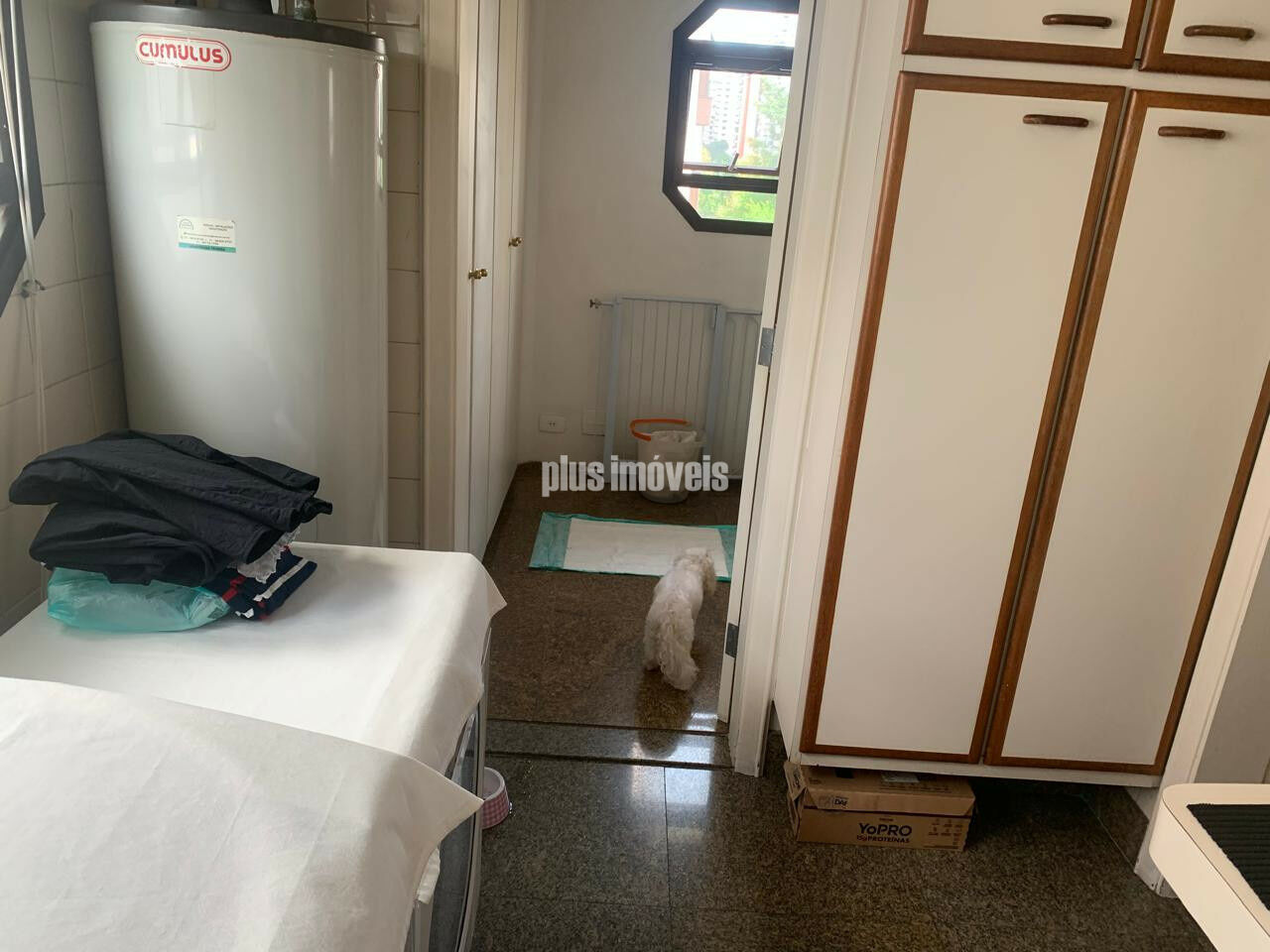 Foto 19