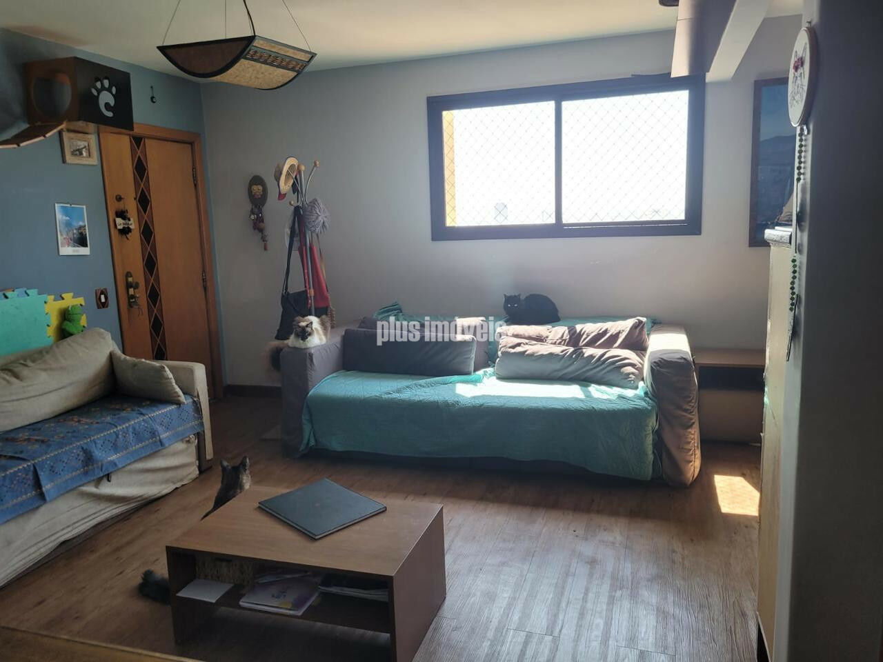 Foto 15