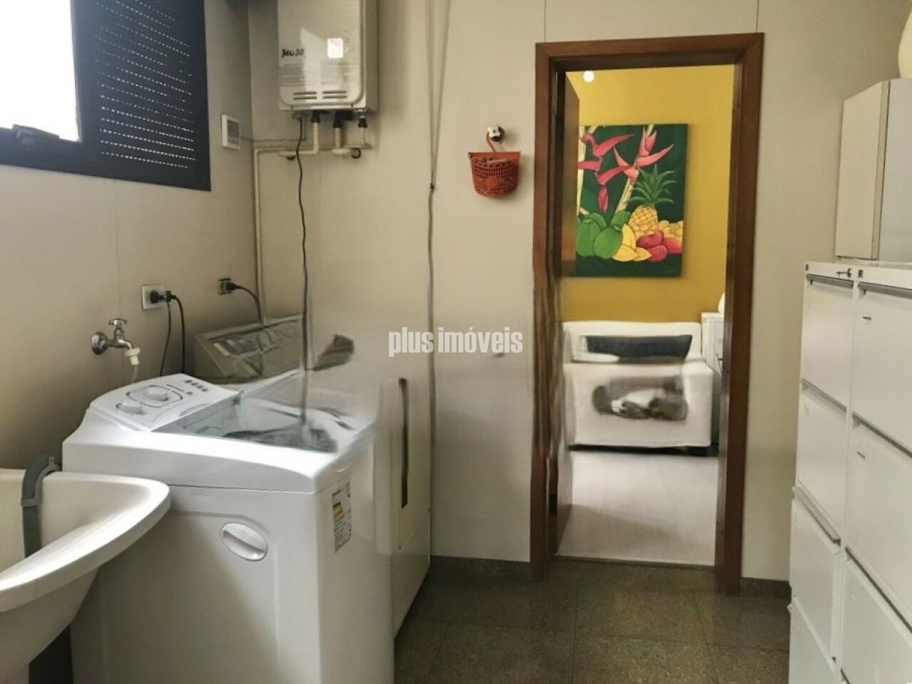 Foto 7