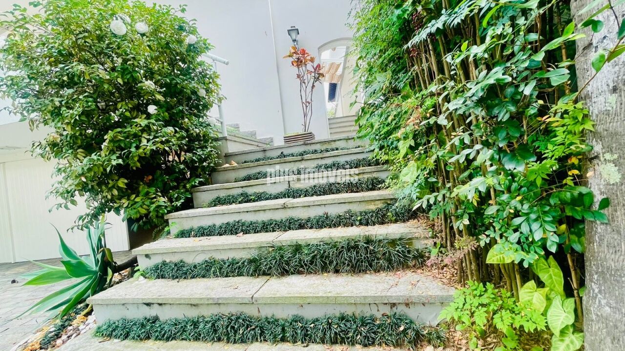 Foto 41