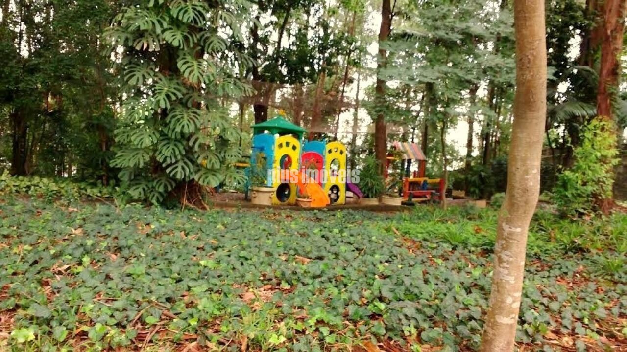 Foto 33