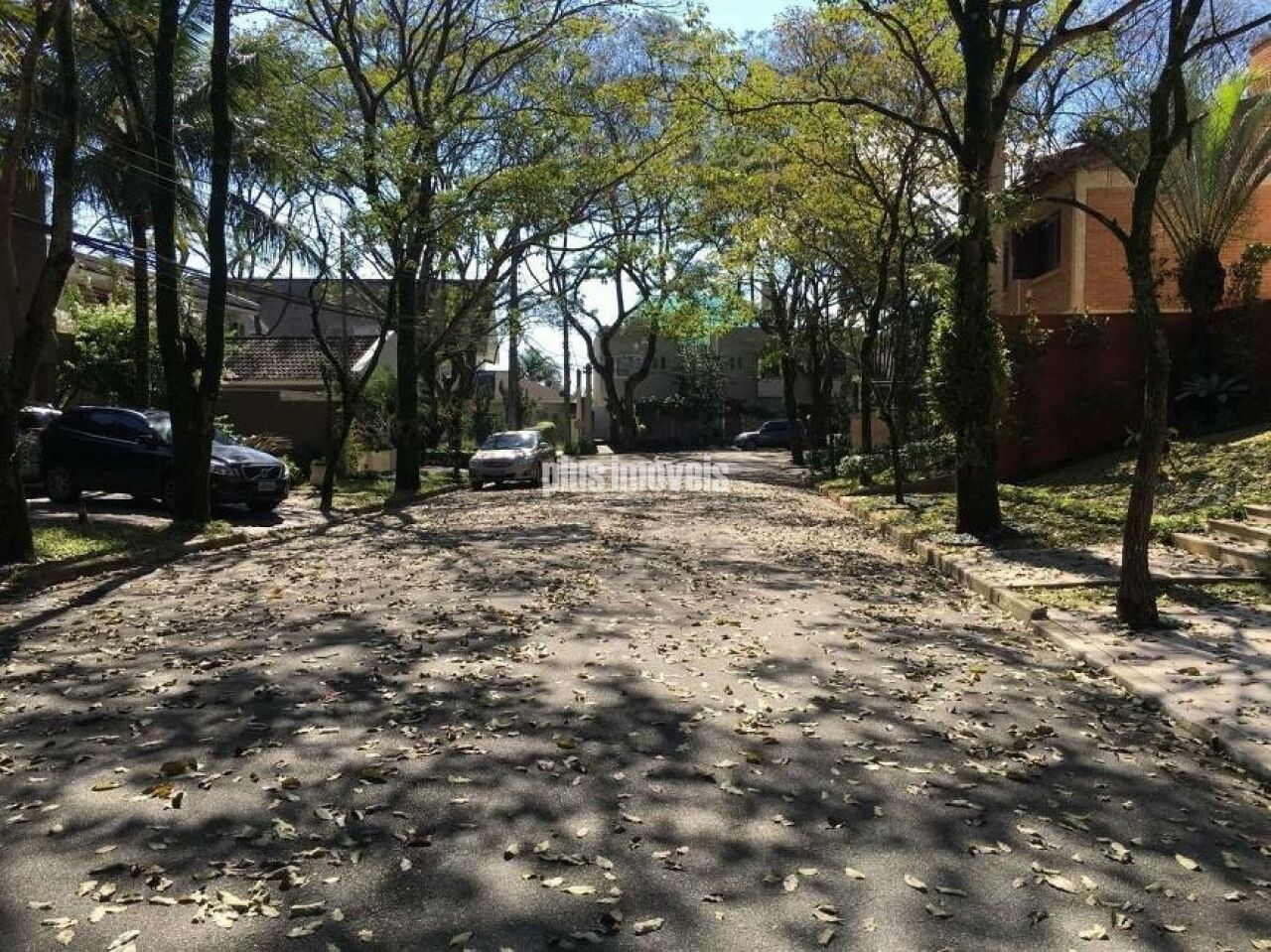 Foto 37