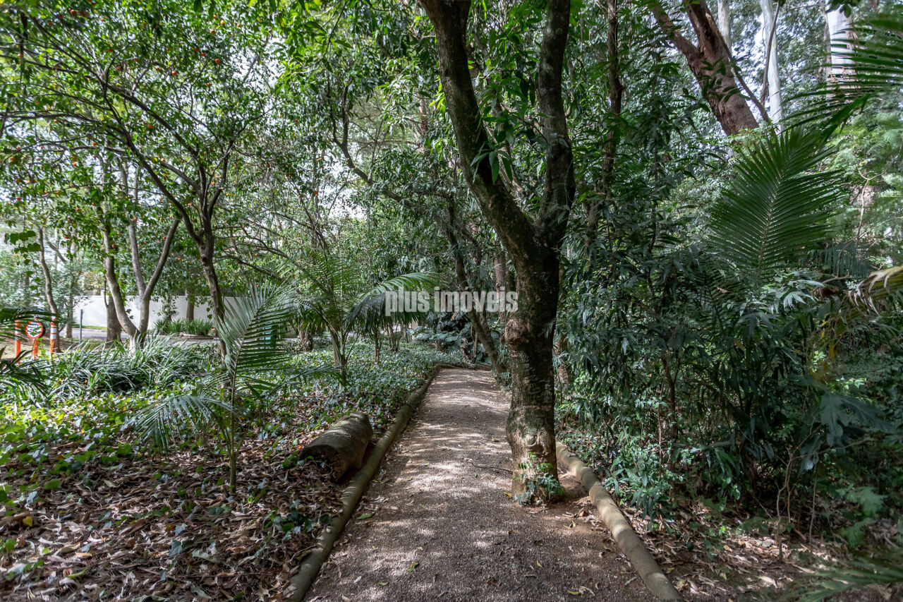 Foto 48