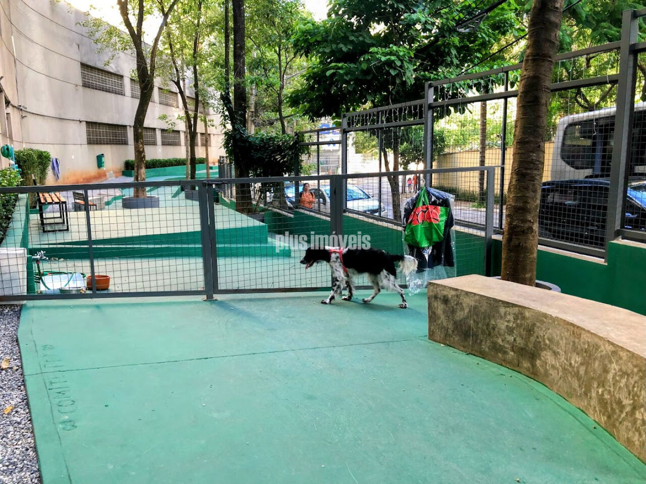 Foto 43