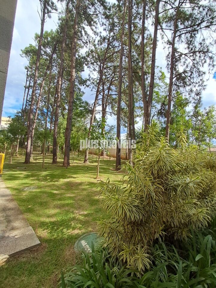 Apartamento, 2 quartos, 41 m² - Foto 24