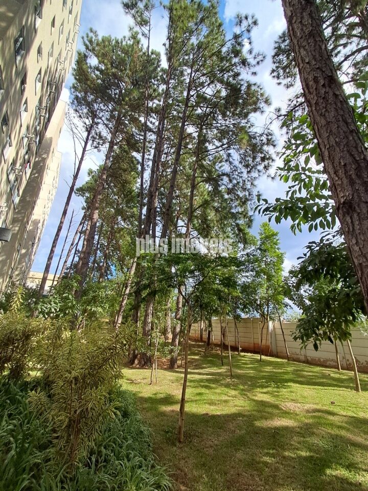 Apartamento, 2 quartos, 41 m² - Foto 23
