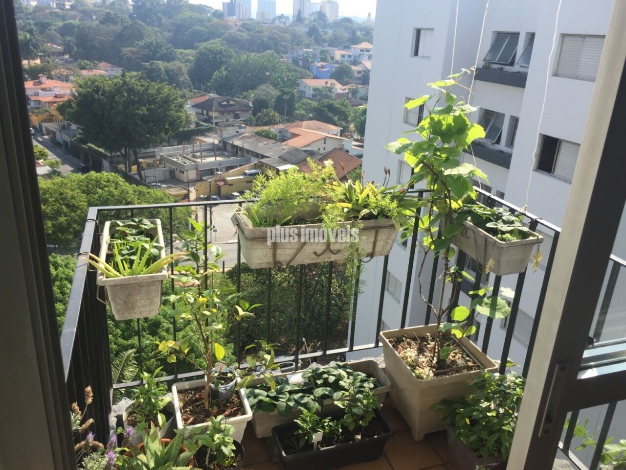 Apartamento, 2 quartos, 65 m² - Foto 26