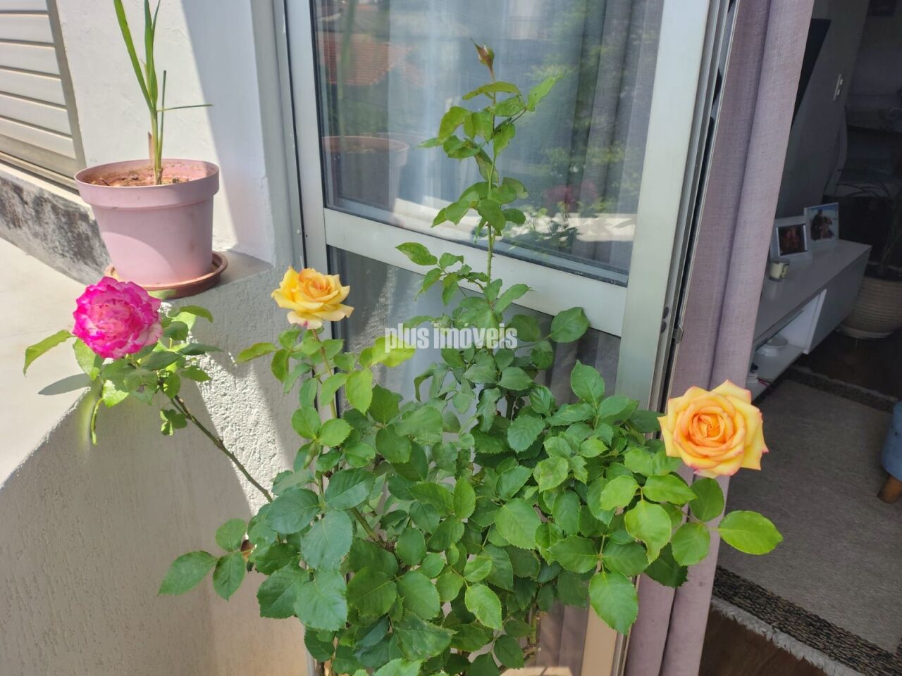 Foto 3