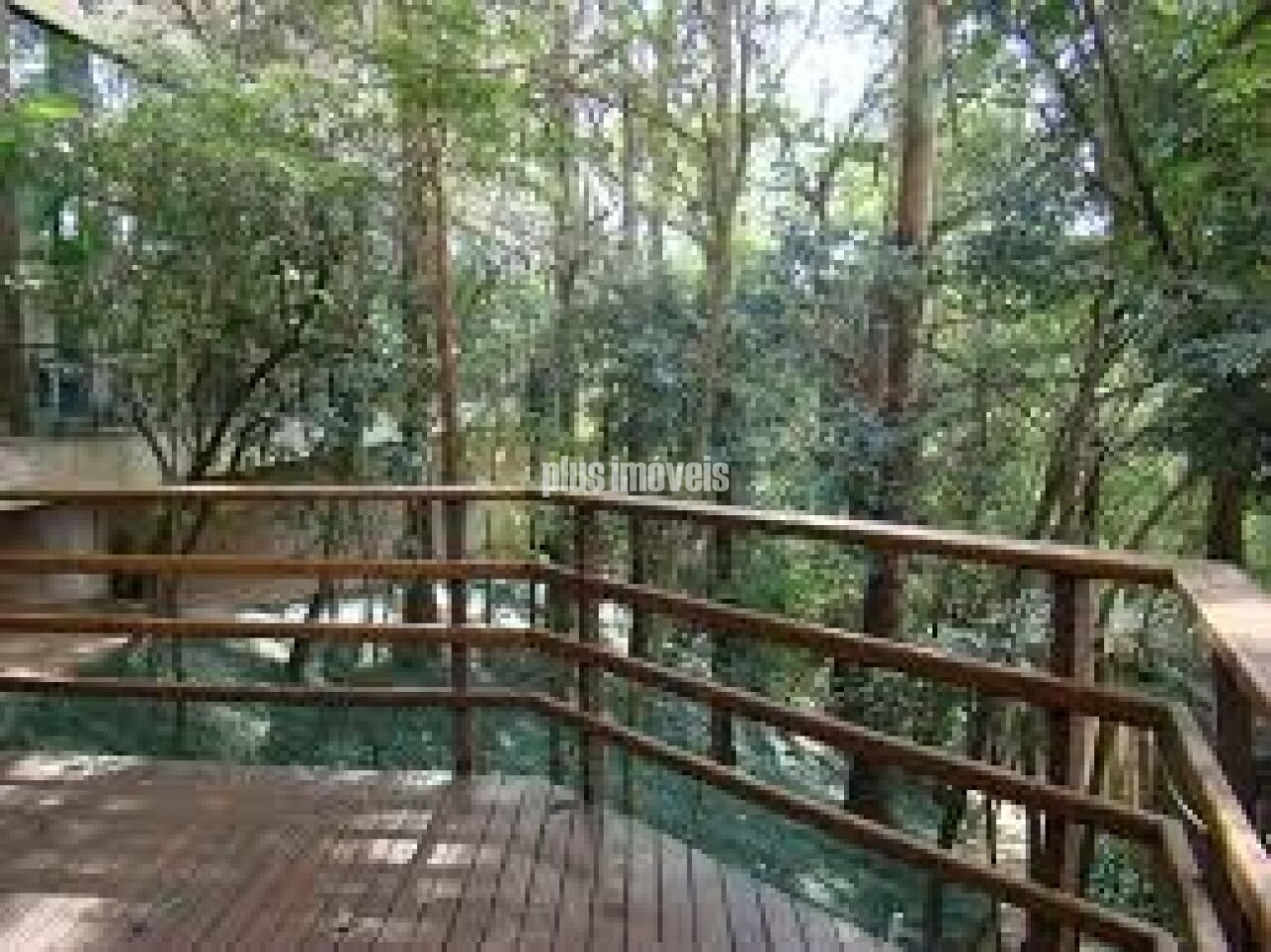 Foto 38