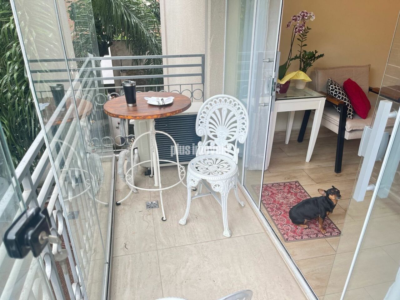 Foto 2