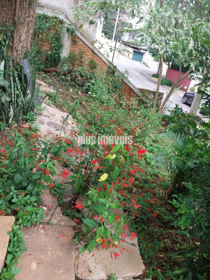 Casa, 5 quartos, 600 m² - Foto 45