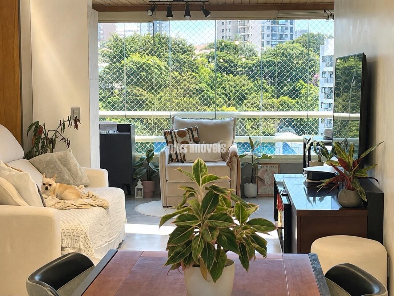 Apartamento, 3 quartos, 110 m² - Foto 4