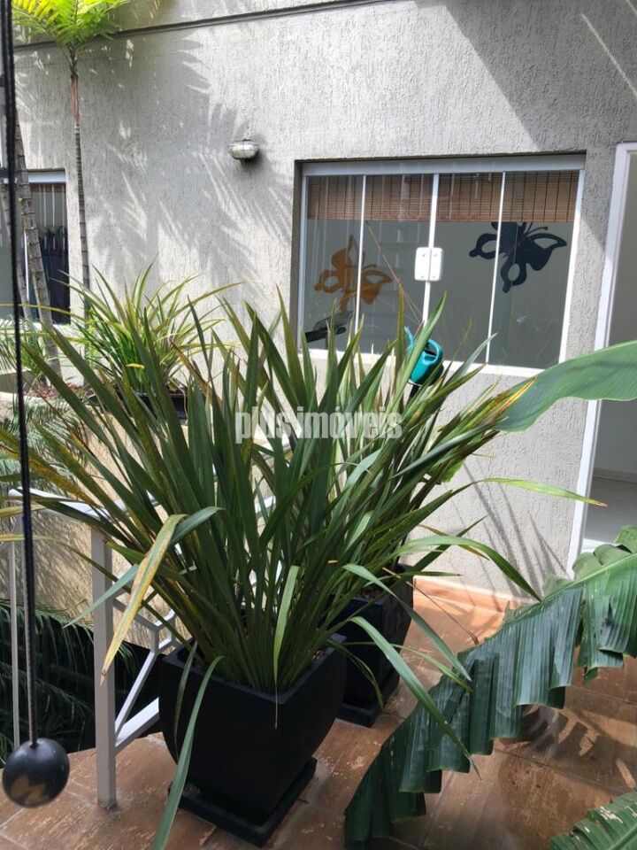 Foto 39