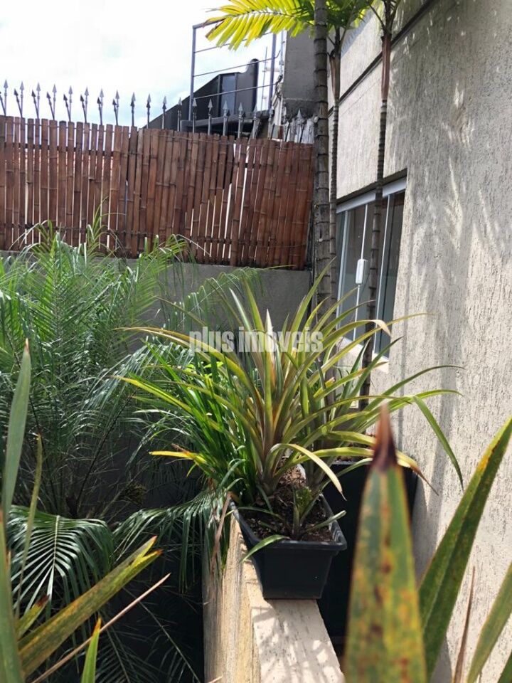 Foto 41