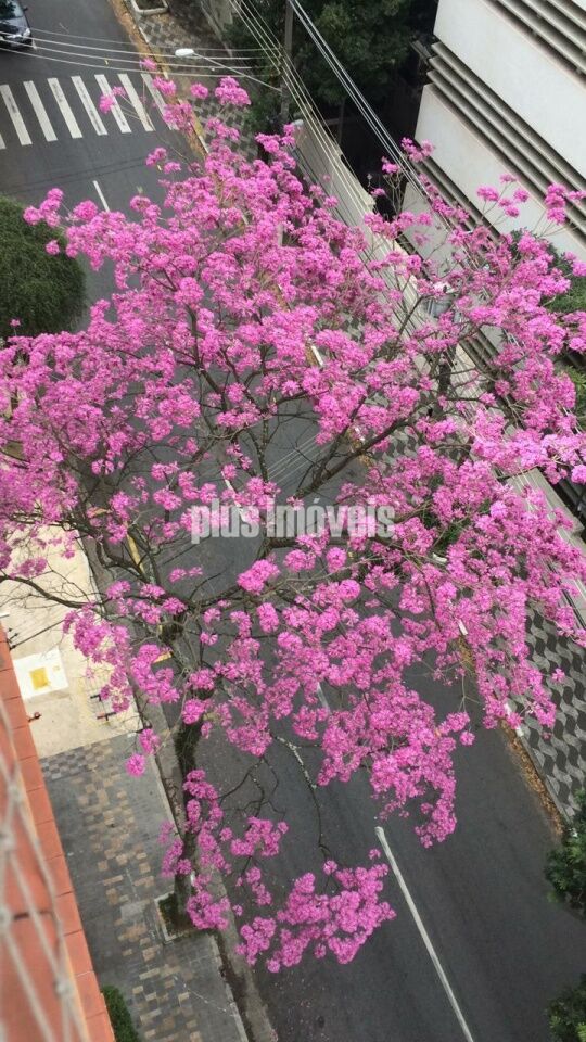 Apartamento, 4 quartos, 280 m² - Foto 26