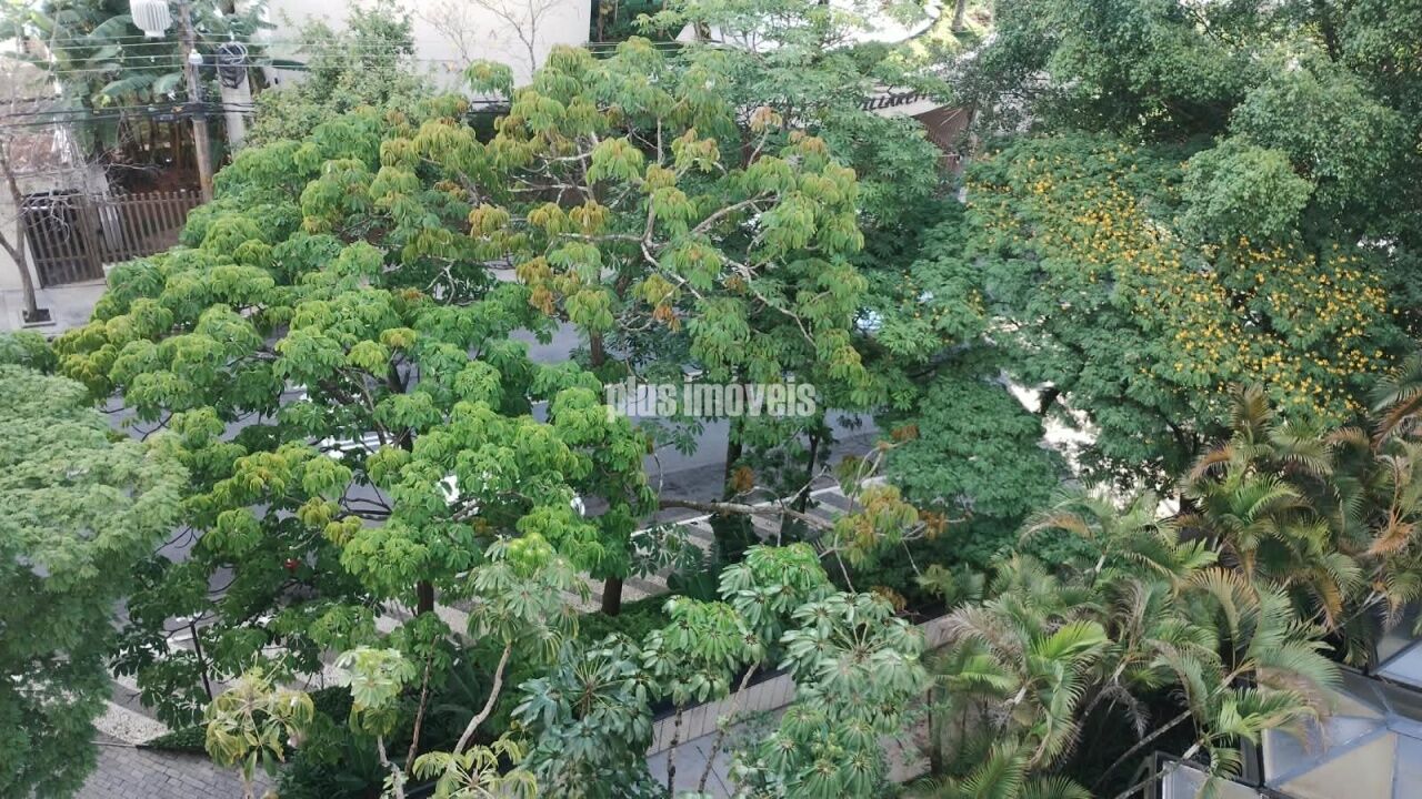 Foto 40