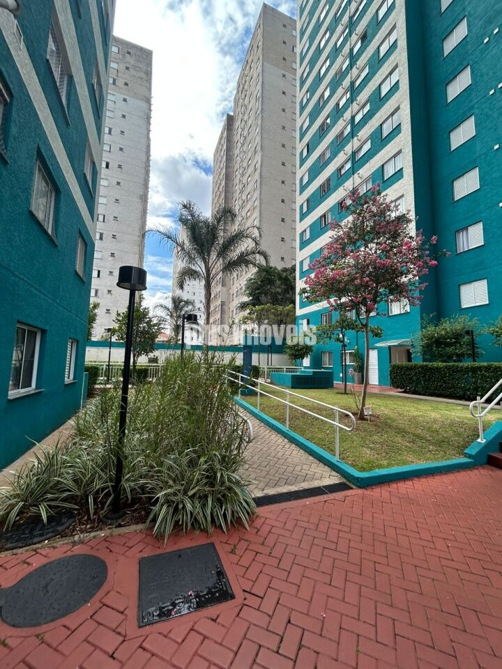 Foto 20